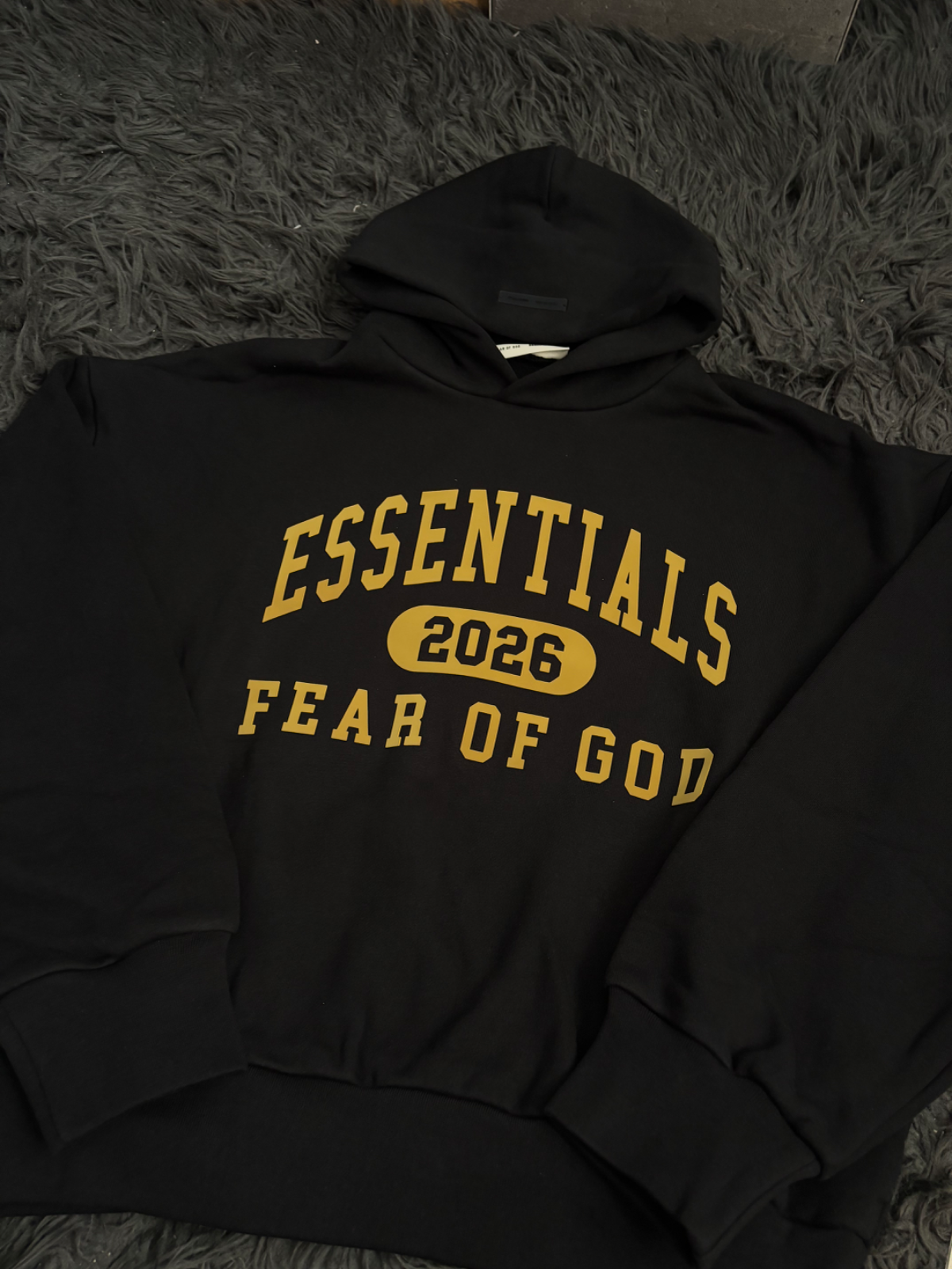 ESSENTIALS HOODIE vista 2